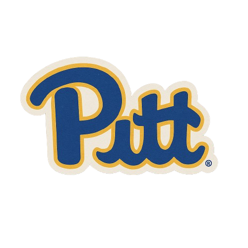 PITT STICKER